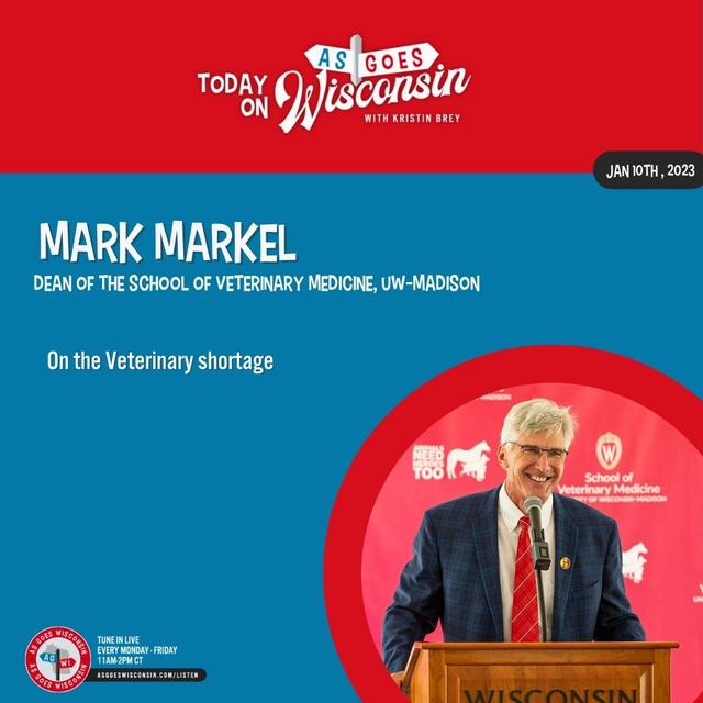 Interview: Mark Markel