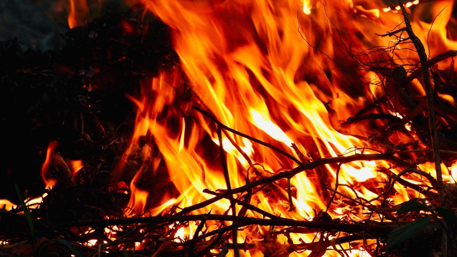 Wildfire Burning in Central Wisconsin