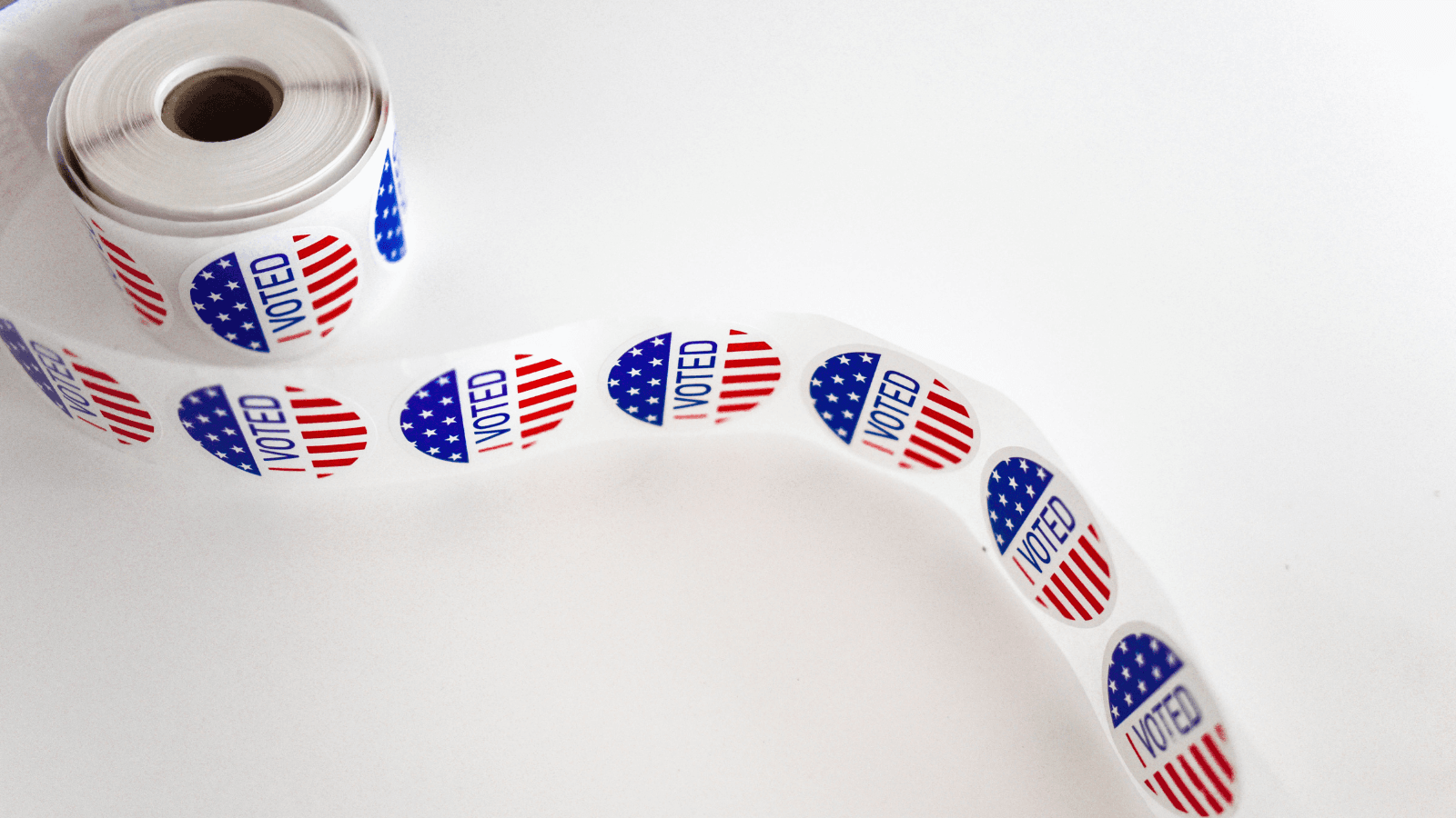 What’s on the Fox Valley Ballot?