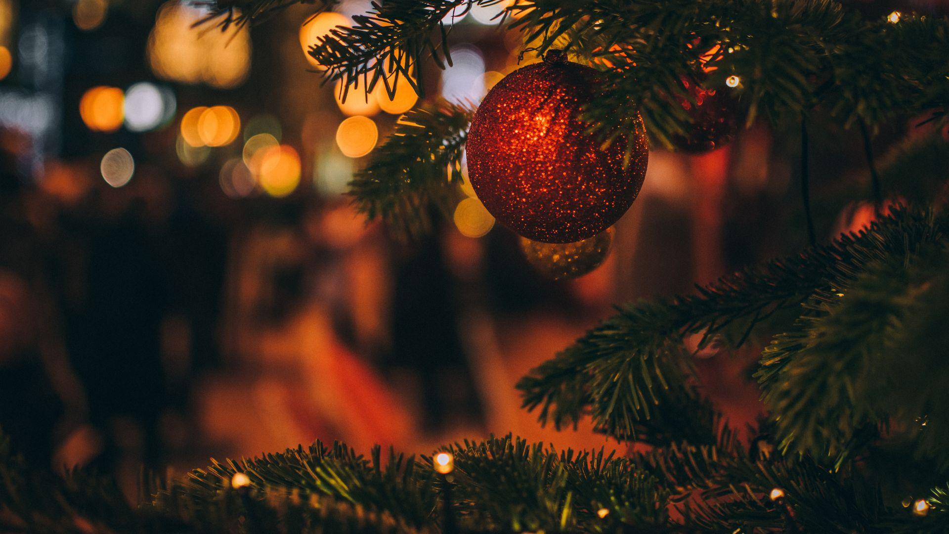 How Madison residents can get rid of their Christmas Tree
