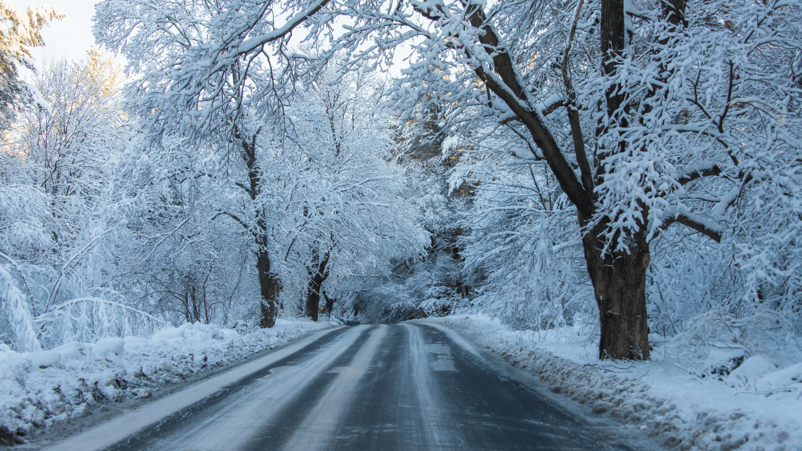 Winter storm to bring several inches of snow to Wisconsin early this week