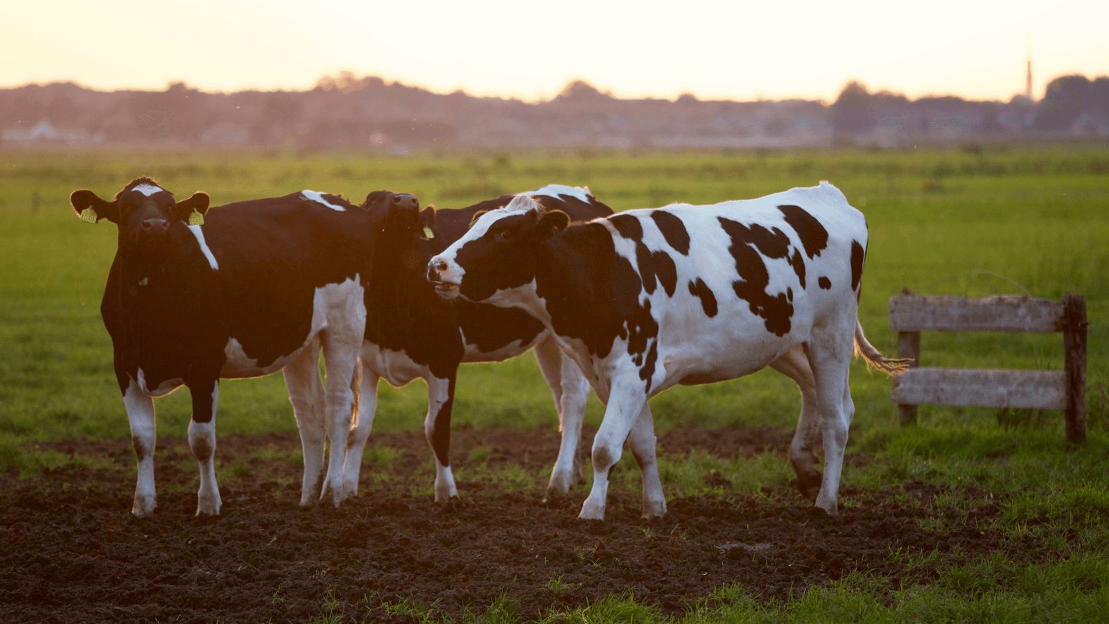 Organic Valley Celebrates National Farmers Day