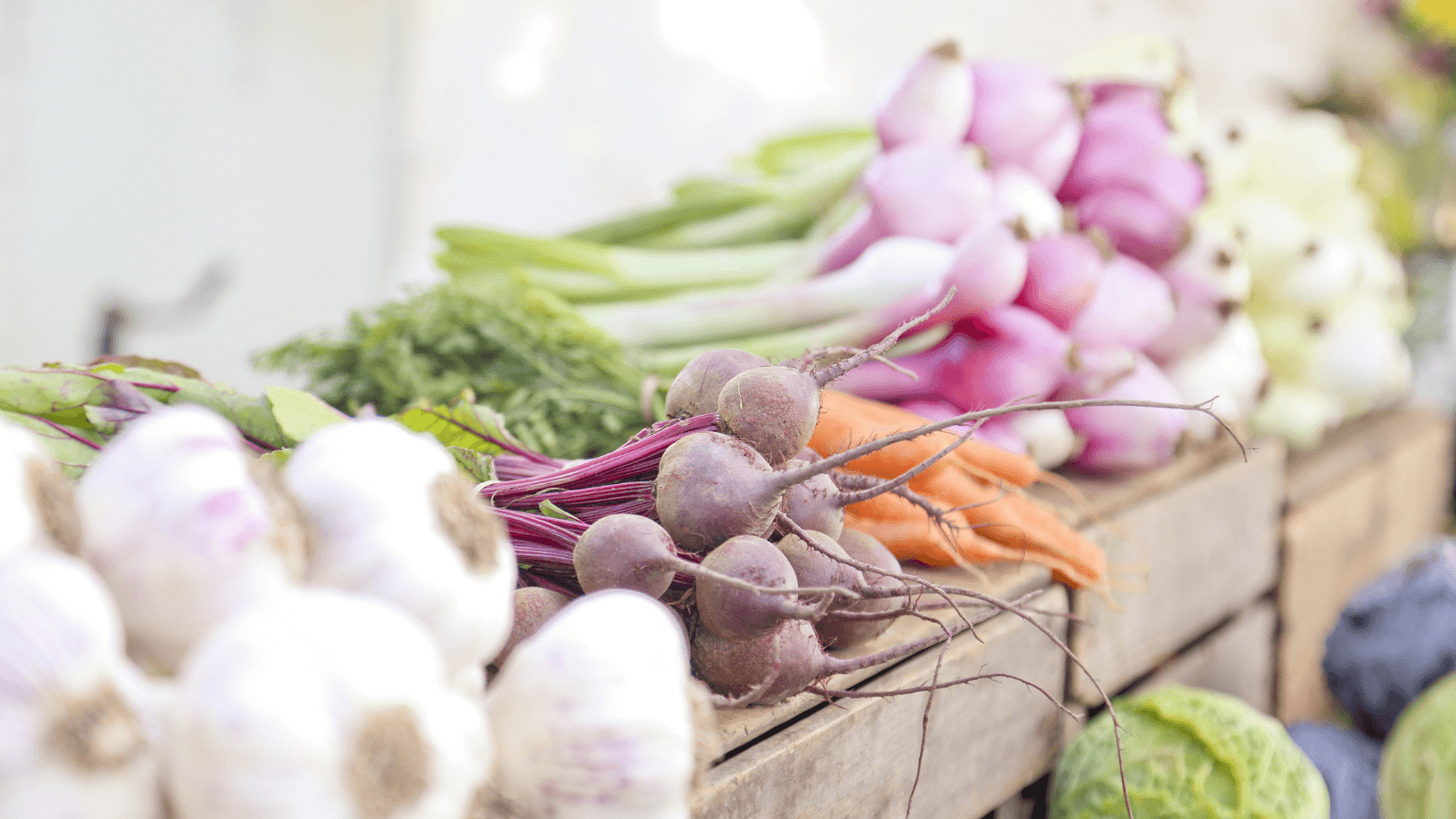 Oshkosh Farmers’ Market kicks off summer season