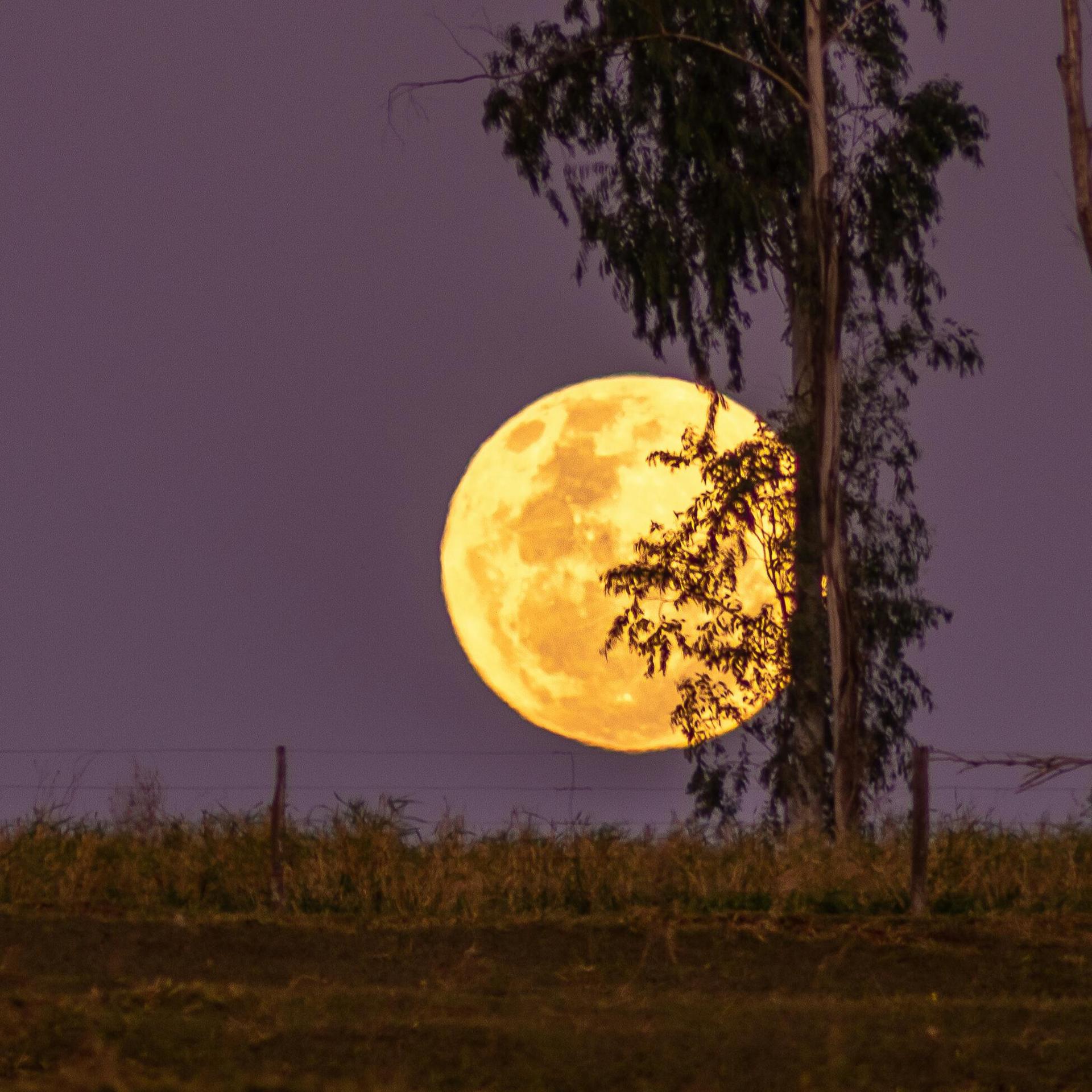 Trifecta: ‘Harvest’ Supermoon Partial Lunar Eclipse