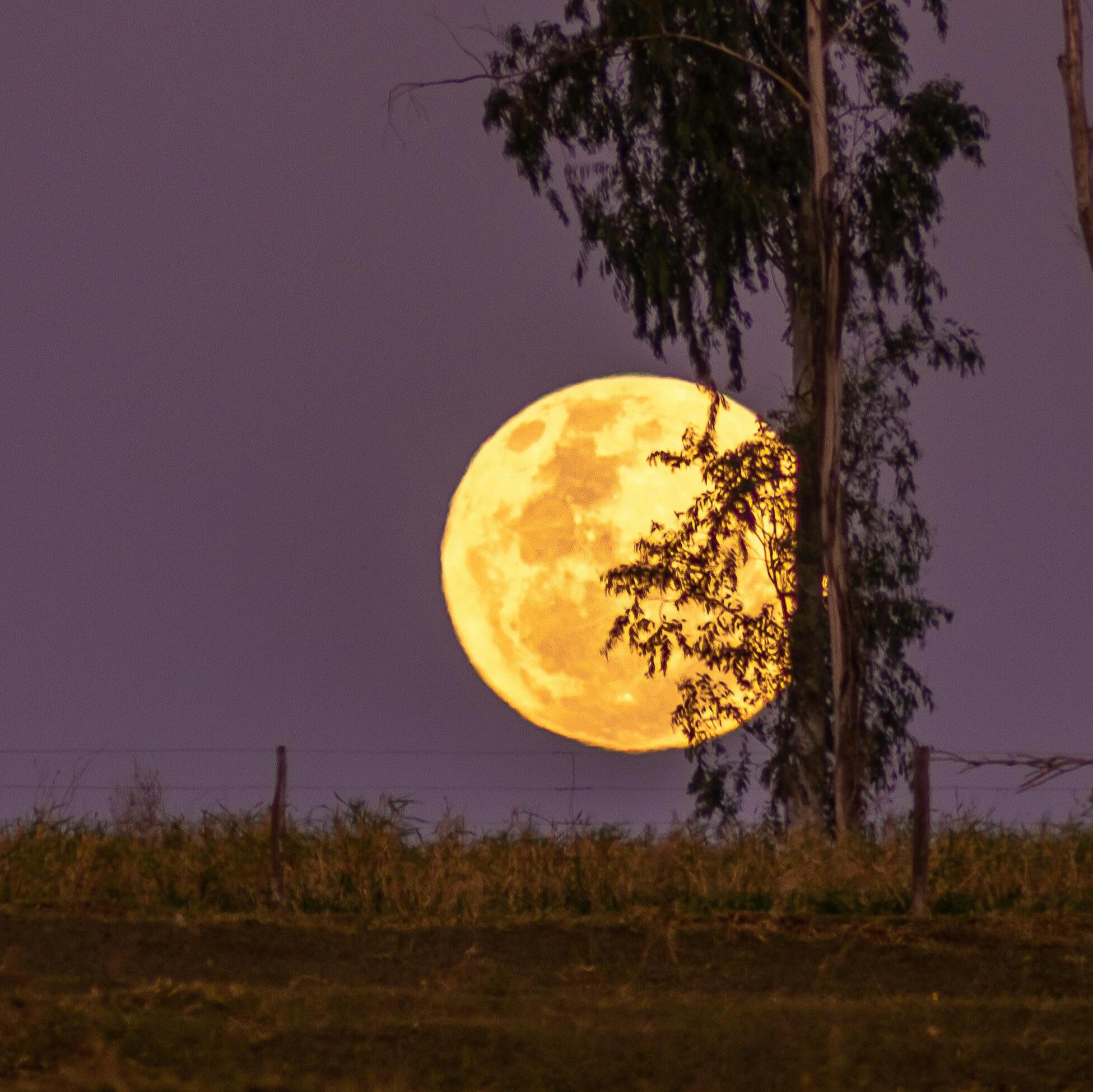 Trifecta: ‘Harvest’ Supermoon Partial Lunar Eclipse