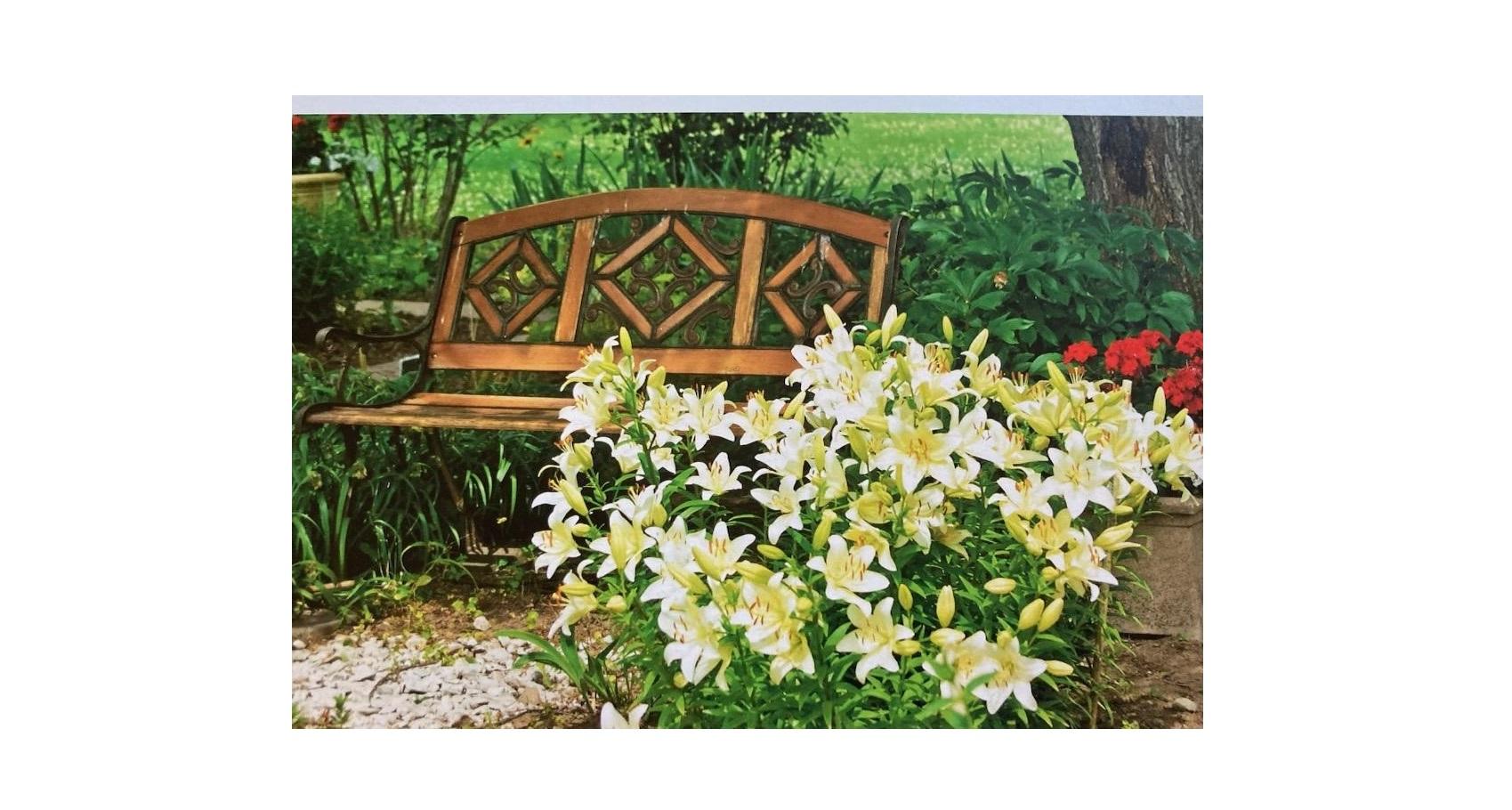 Joan Rachel Schmidt, 96, Park Falls