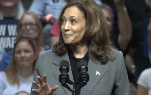 Harris Rallies Arena Of Supporters During Madison Stop