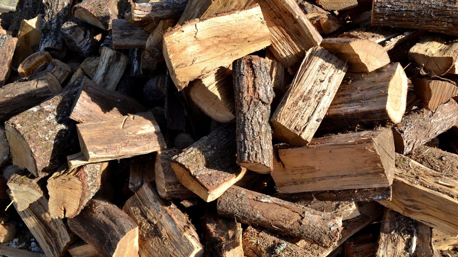 Department of Natural Resources Urges Use of Local Firewood