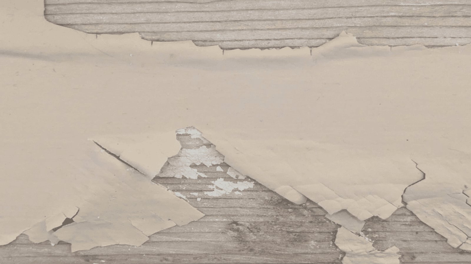 DHS encourages awareness of lead poisoning hazards for children