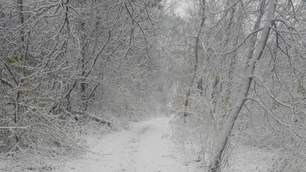 Winer Weather hits Wisconsin