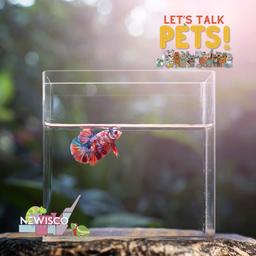 Let’s Talk Pets