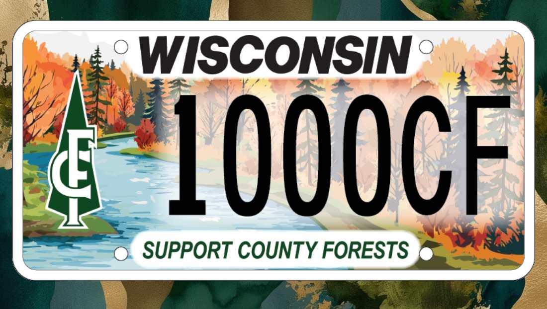 Wisconsin DMV Unveils New Specialty Plate to Support Forest Conservation