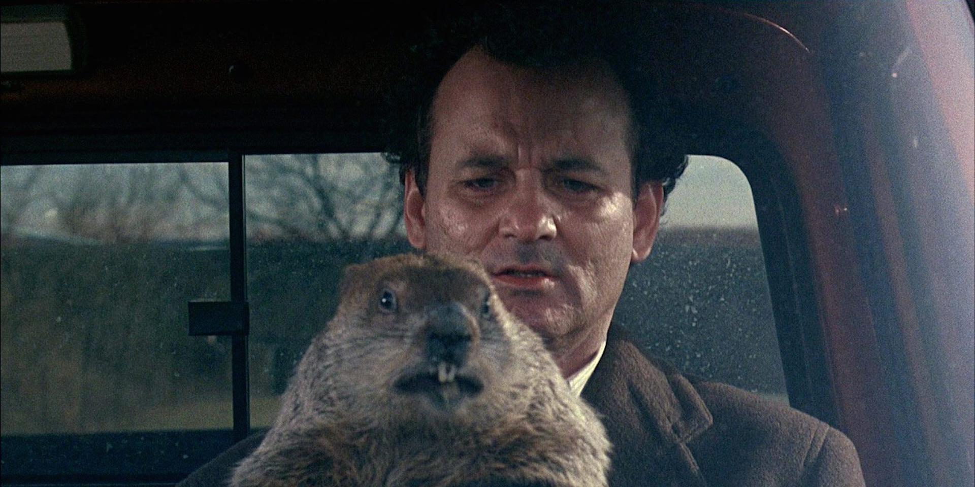 Classic Movie Pick: ‘Groundhog Day’ Is Among Greatest Comedies Of All Time