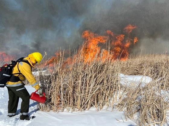 Prescribed Burns Starting Across Wisconsin