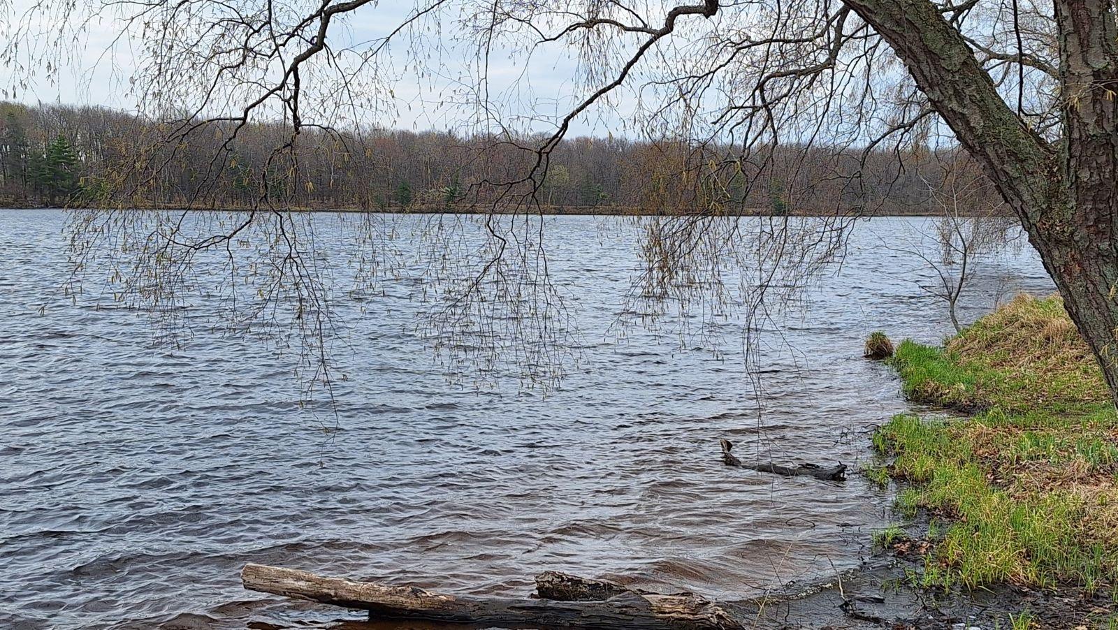 Walleye Days Returns in 2025