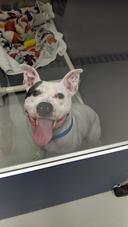 Look at that Smile! (Hour 2)