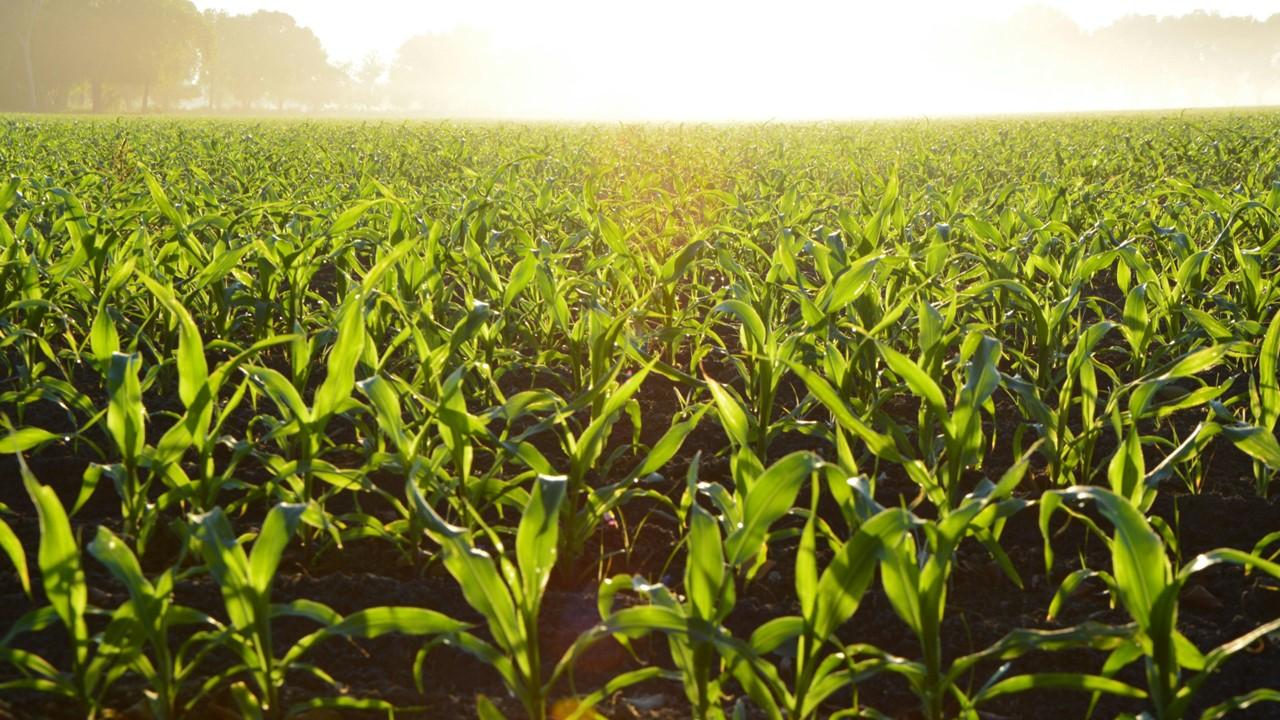 Wisconsin Farmers Union on state budget: “wins for family farmers, but also losses”