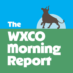 Wausau Morning Report: Friday, June 20