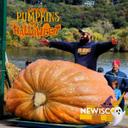 Let’s Talk Pumpkins and Halloween