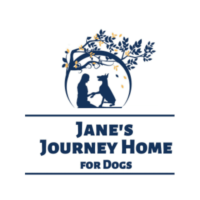 Jane's Journey Home for Dogs