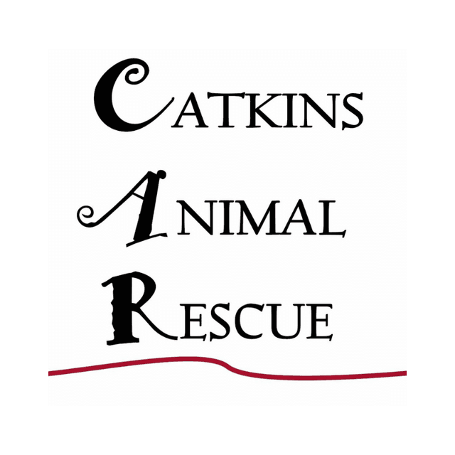 Catkins Animal Rescue