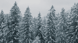 Winter Williams and Matthew A. Brown on their filmmaking journey (Hour 2)