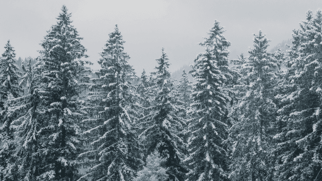 Winter Williams and Matthew A. Brown on their filmmaking journey (Hour 2)