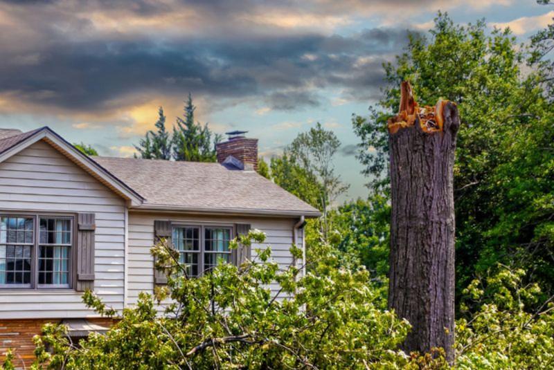 Mistakes to Avoid During a Storm Cleanup at Home