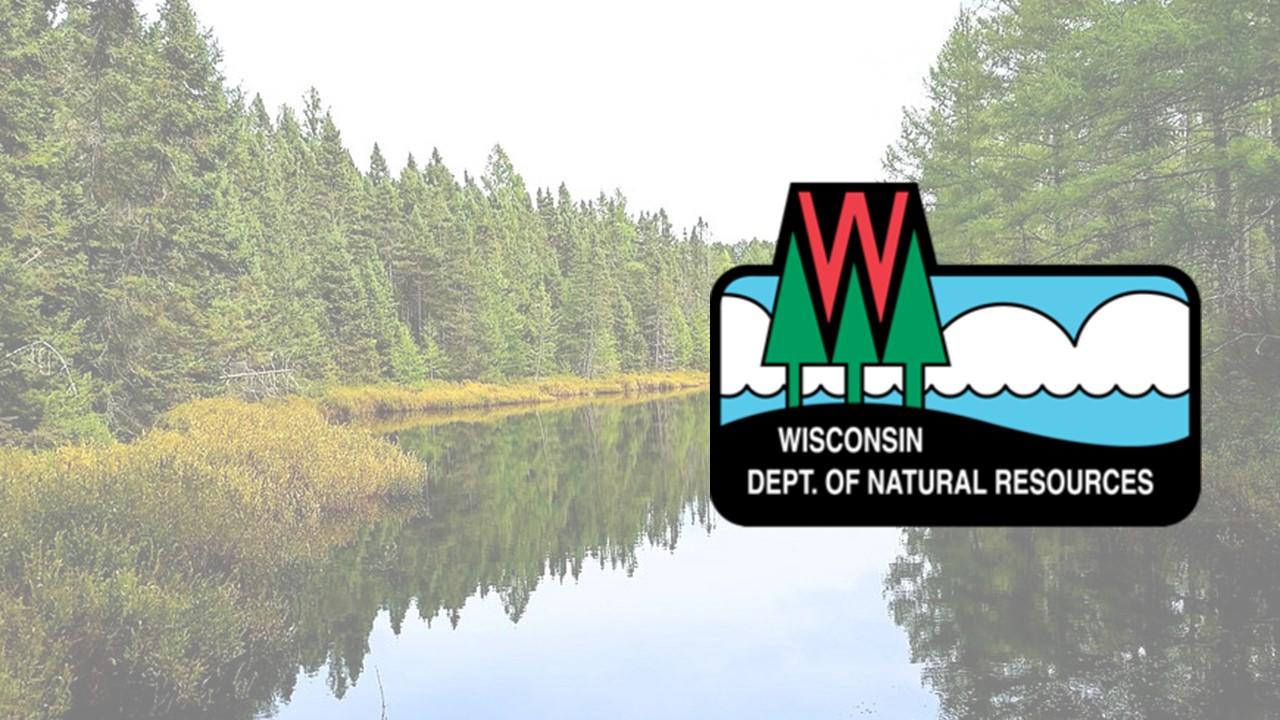 DNR asks for help during turtle mating season in Wisconsin