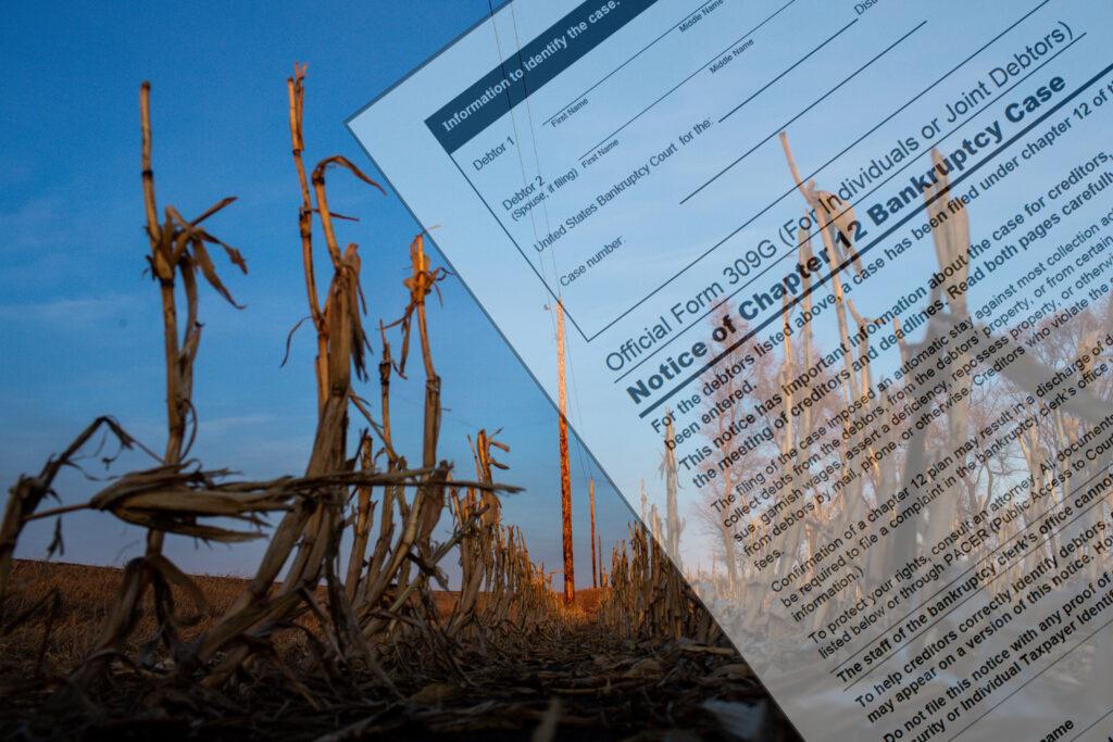 Minnesota led the nation in farm bankruptcies in the first quarter, and farmers are anxious