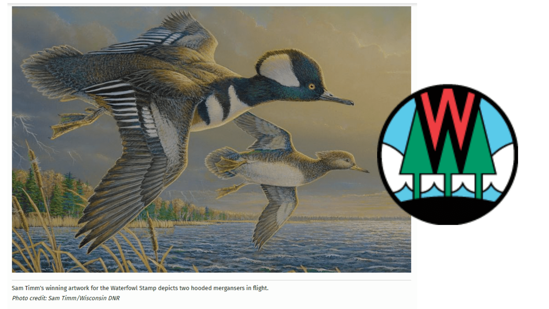 DNR accepting entries for 2027 Wild Turkey, Pheasant, and Waterfowl Stamp Design Contests