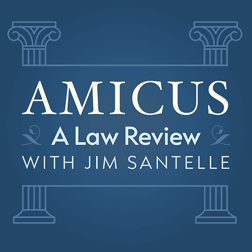 Amicus: A Law Review