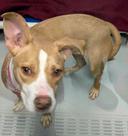 Lucy is Baby (Hour 2)