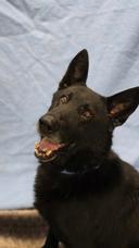 Everyone Look at this Sweet Man