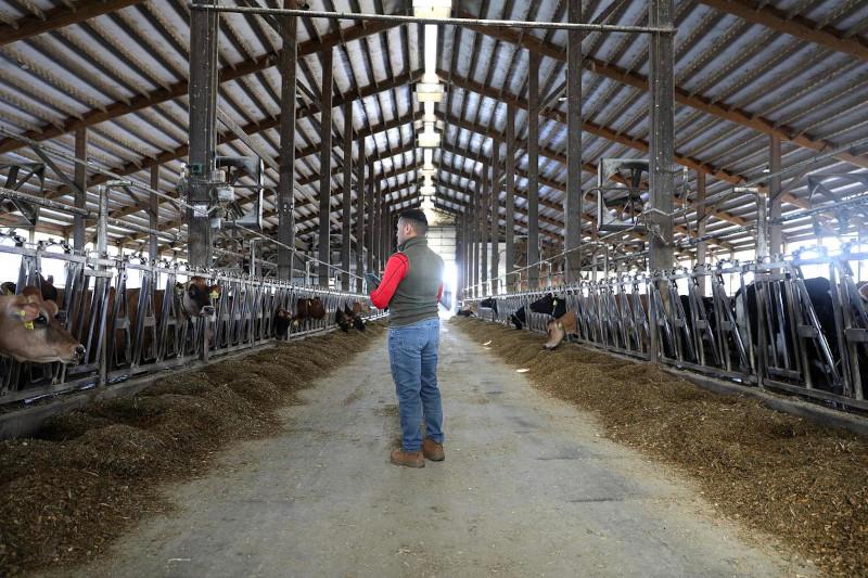 Skilled but Uncertain: Immigrant Workers and Employers Navigate Hiring Hurdles Under Trump