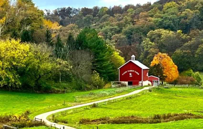 Cates Family Farm, outside of Spring Green