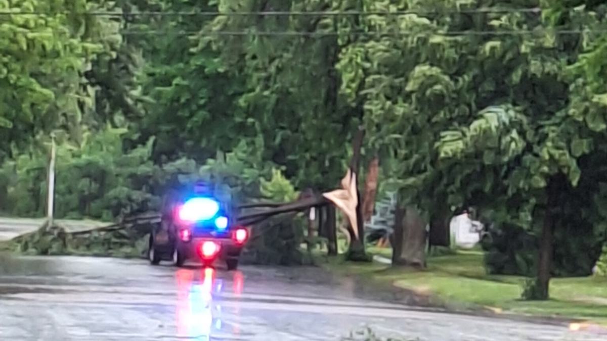 Cop Tree Snapped
