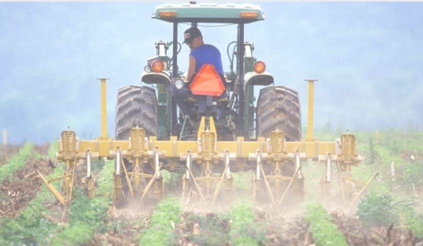 Farmer on a tractor in the field