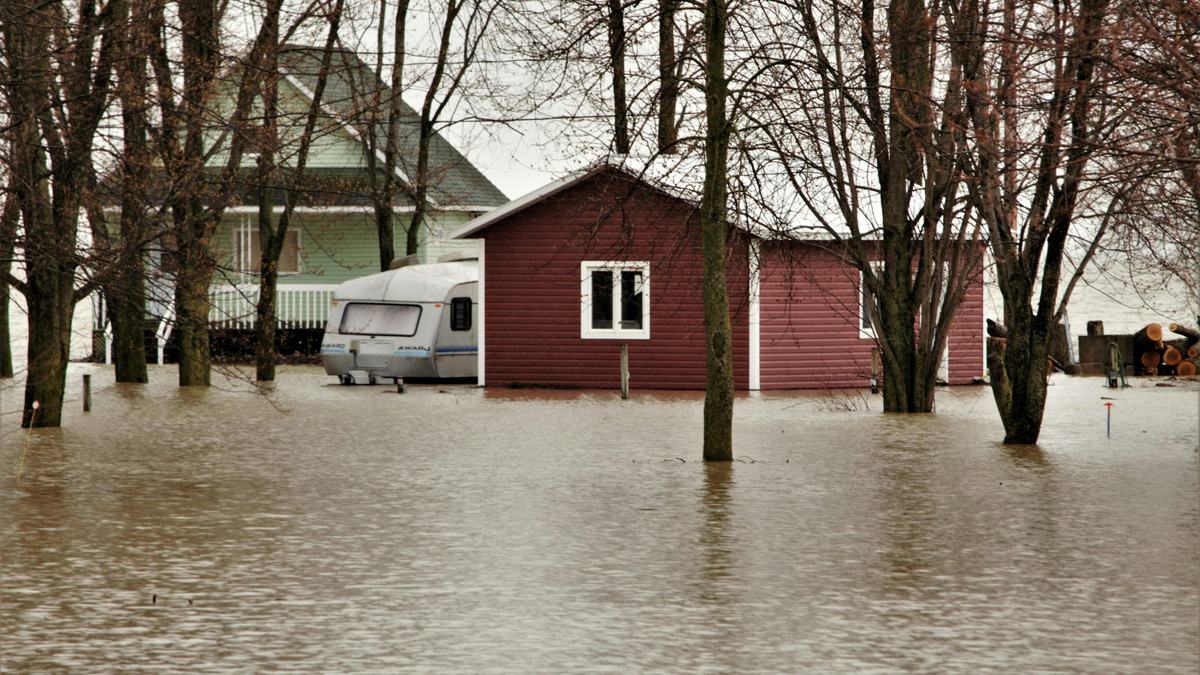 Flood Water Pexels