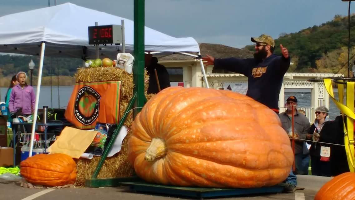 Giant pumpkin, Courtesy Mike Schmit