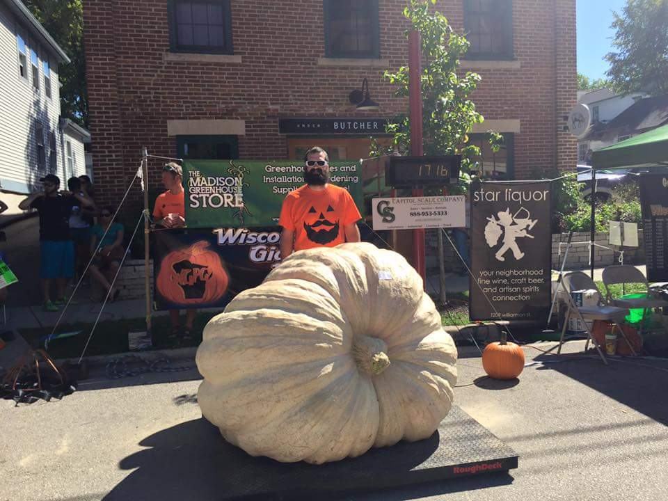 Giant white pumpkin, Courtesy Mike Schmit