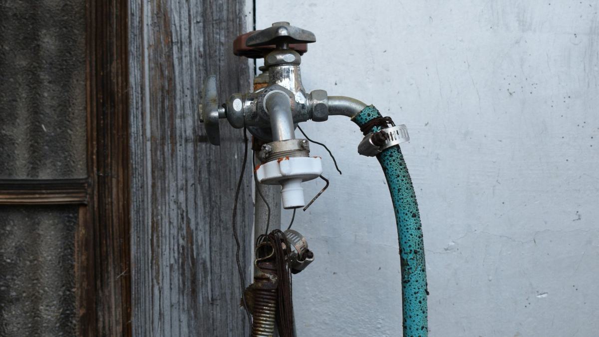 Hose