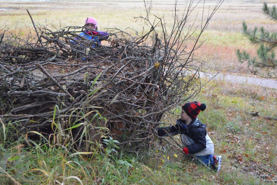 Life Sized Eagle Nest