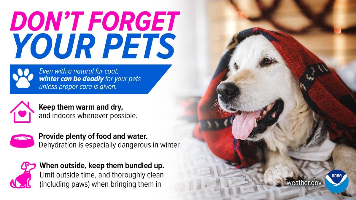 Pets