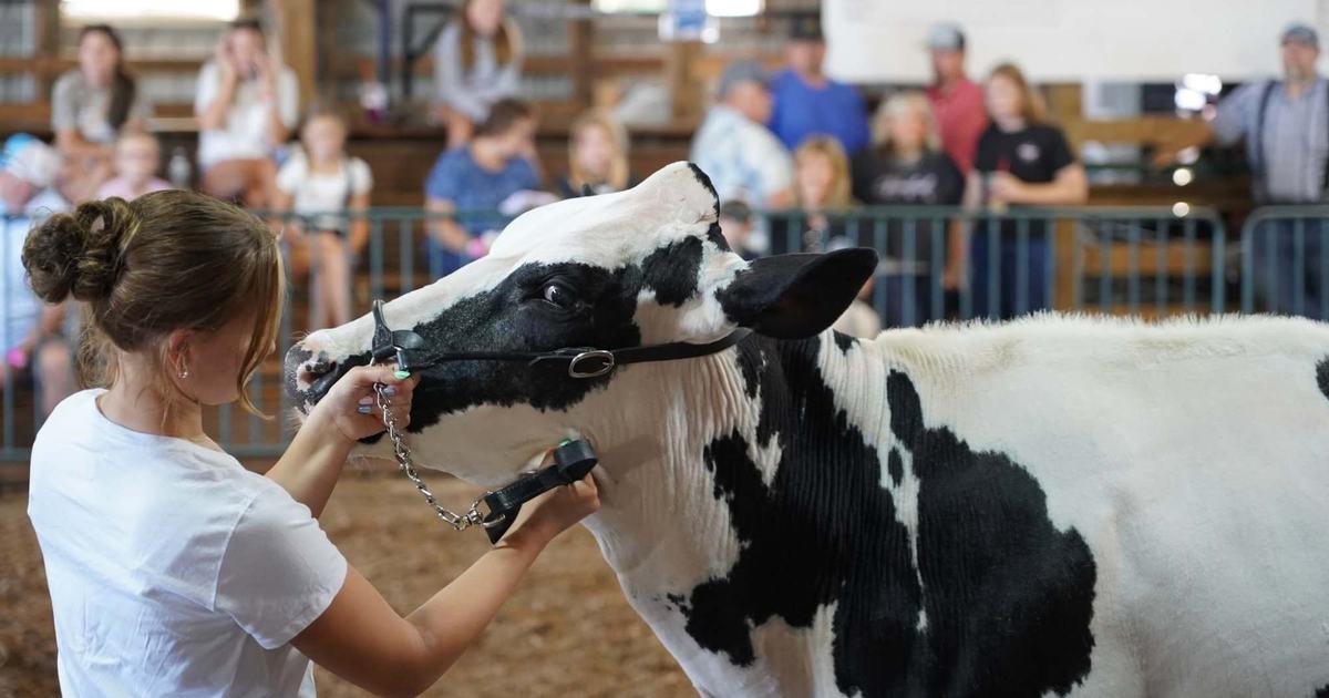 Racine County Fair livestock auctions surpass $1 million in record sales