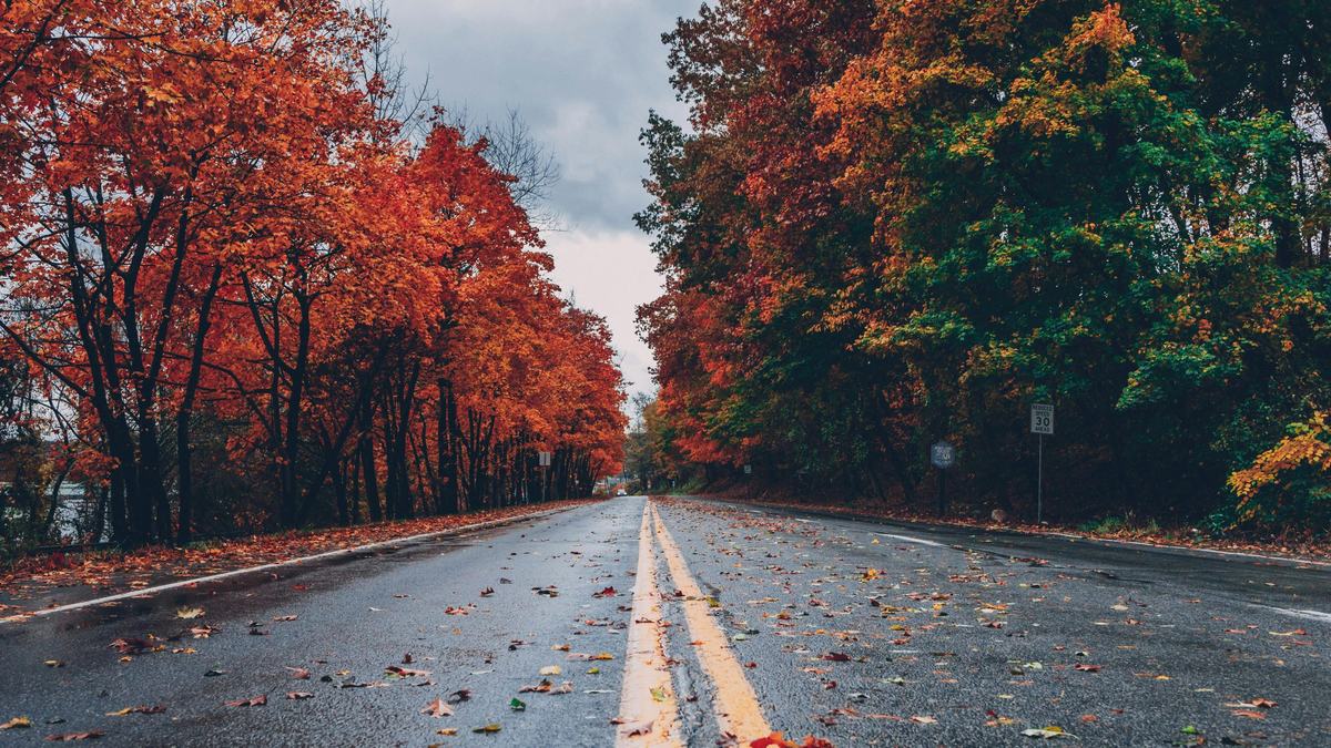Start-of-Fall