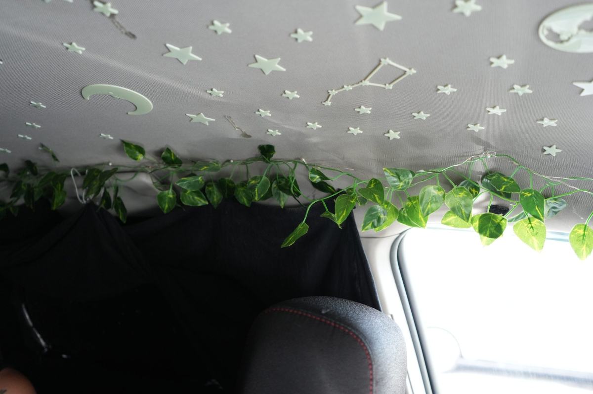 Glow-in-the-dark stars, a crescent moon and a constellation decorate a vehicle ceiling above artificial green vines and a seat.