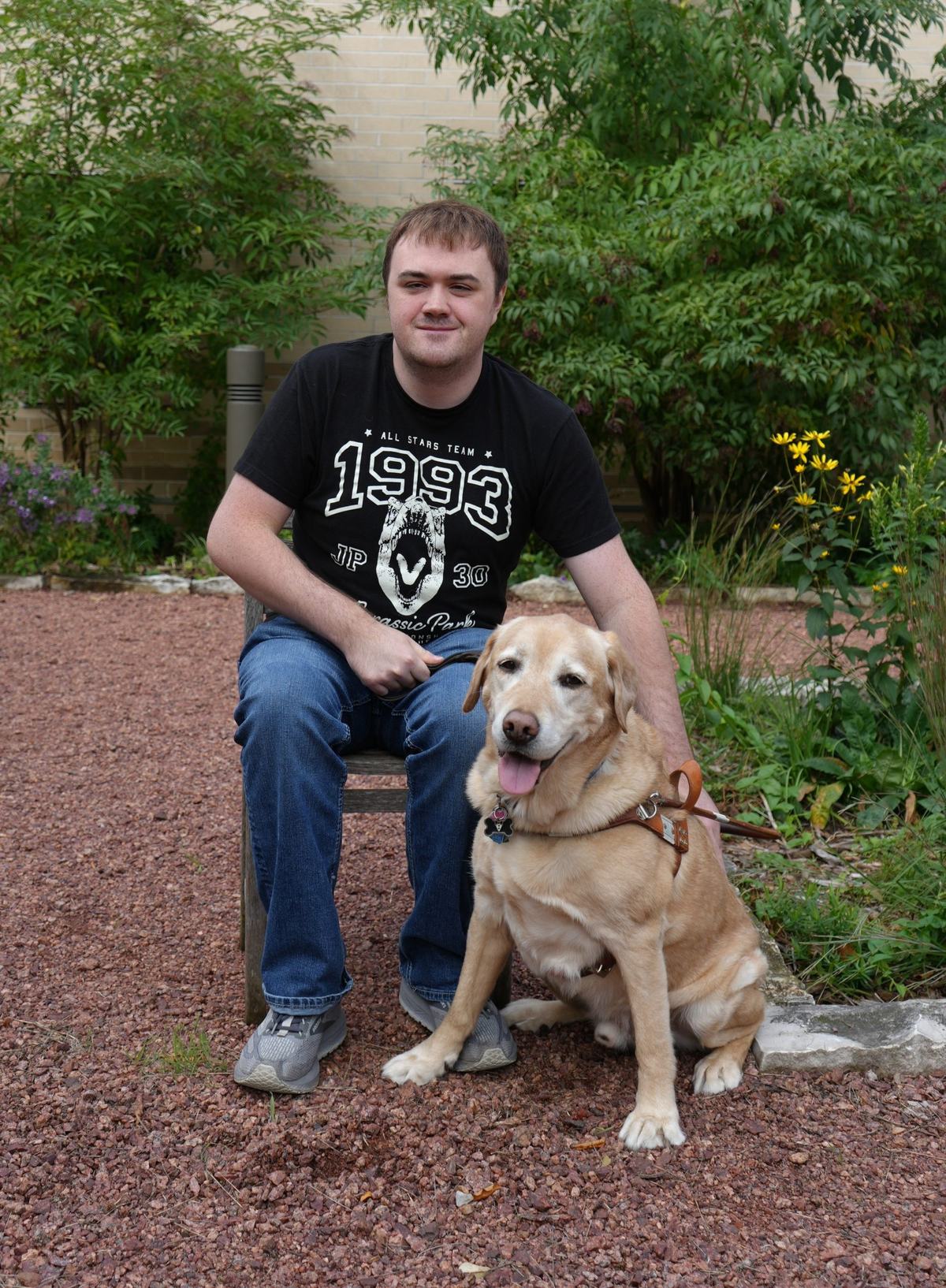 A person wearing a black "Jurassic Park" T-shirt and jeans sits on a chair beside a golden-colored dog wearing a harness, on a gravel path surrounded by plants.