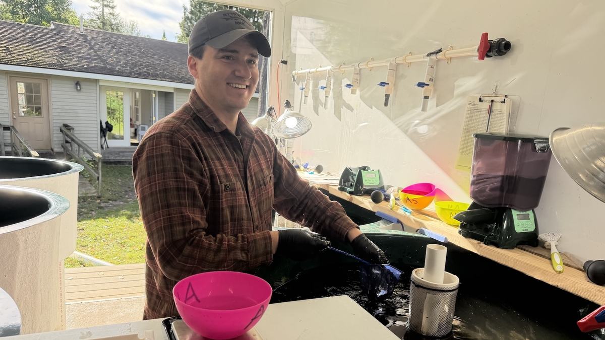 A man works in a fish hatchery