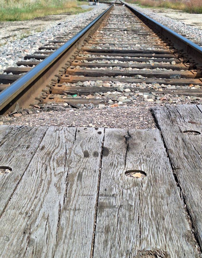 tracks